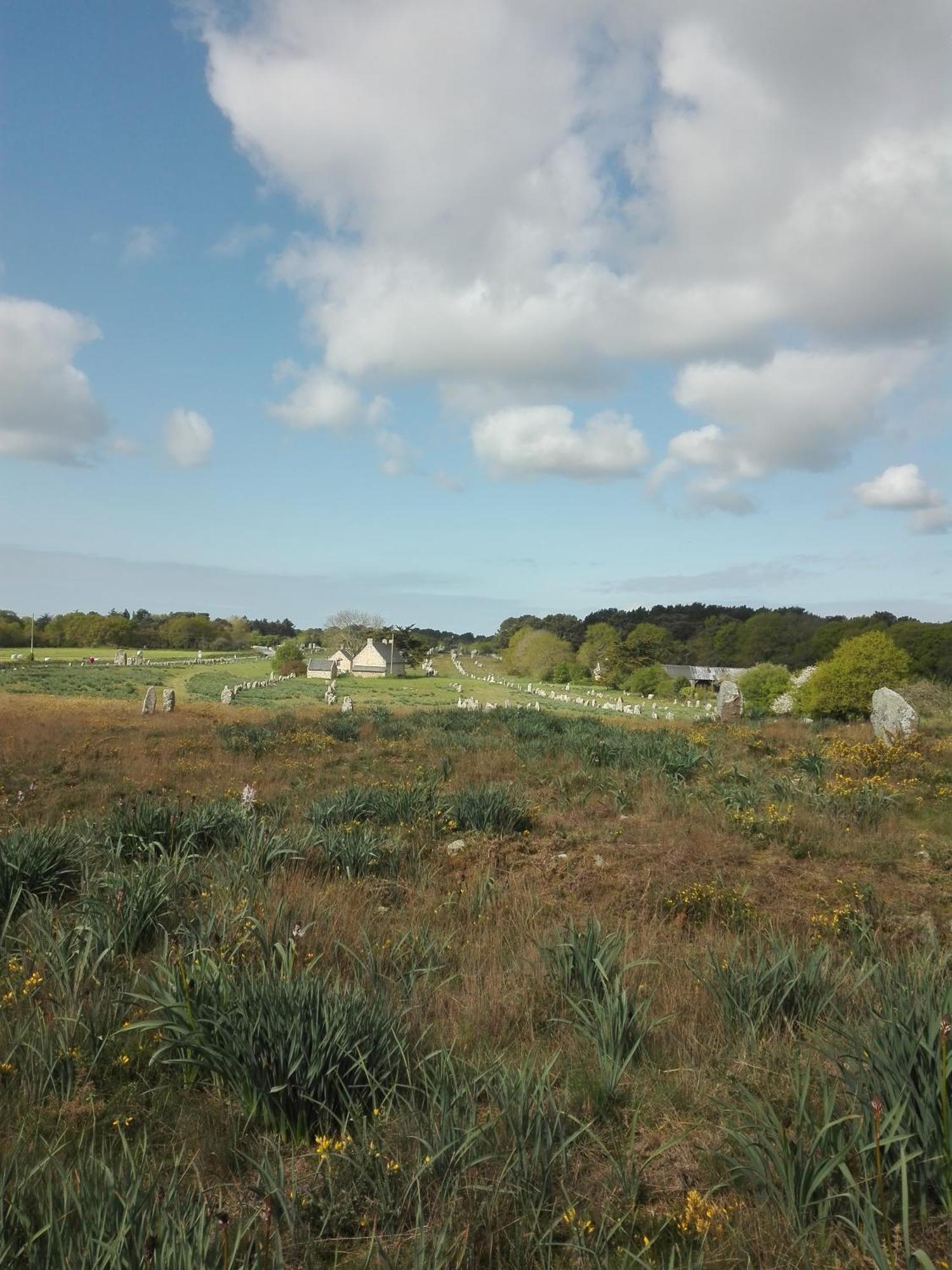 Grand Studio Duplex Avec Jardin La Trinité-sur-Mer Kültér fotó