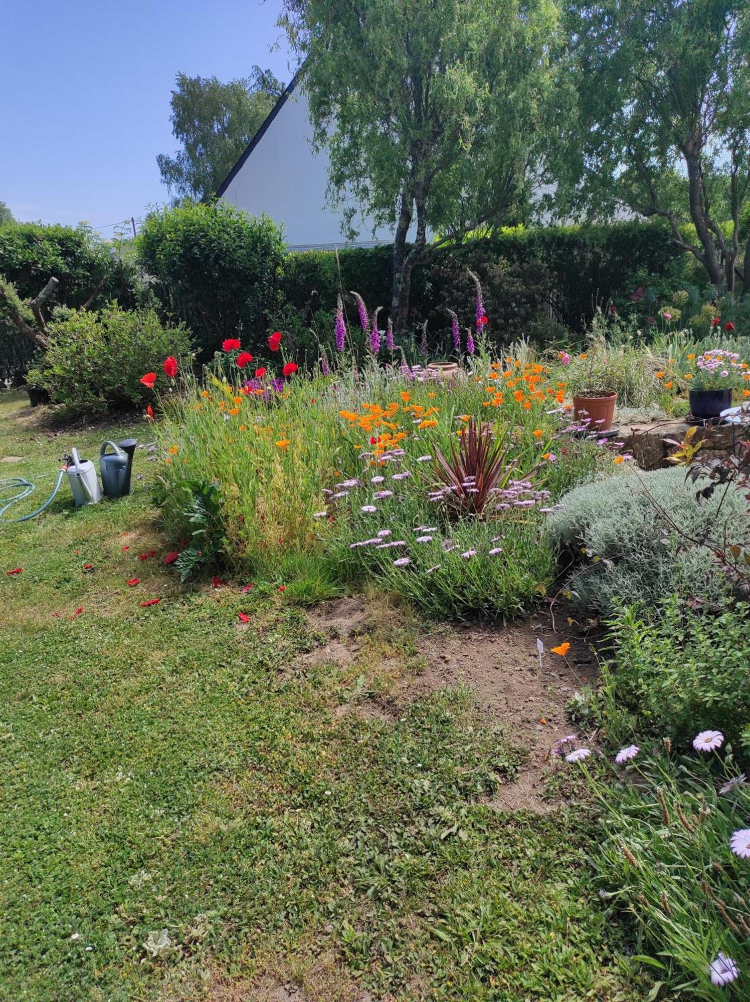 Grand Studio Duplex Avec Jardin La Trinité-sur-Mer Kültér fotó